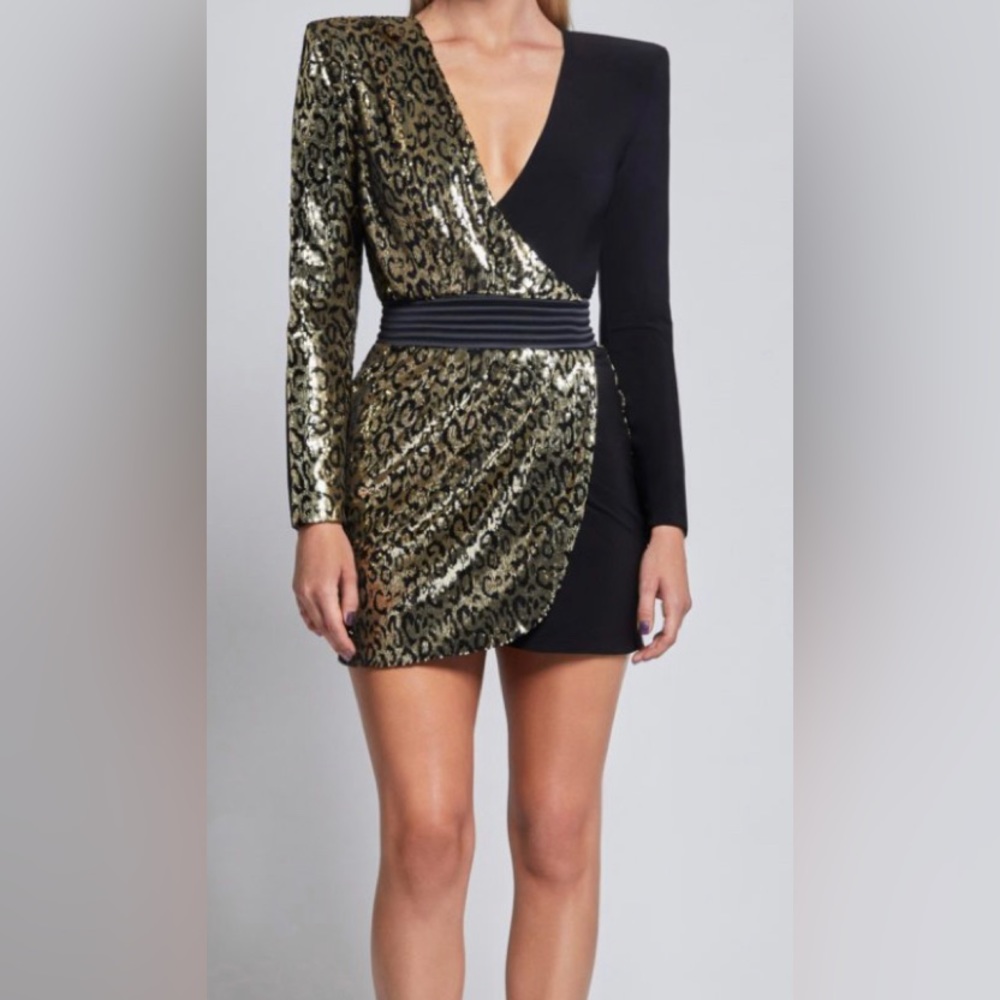 Zhivago gorgeous Dress